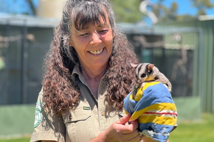 A lady in khakis with long brown curly hair holds a sugar glider in a little rug