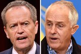 A composite image showing close up photos of Bill Shorten and Malcolm Turnbull.