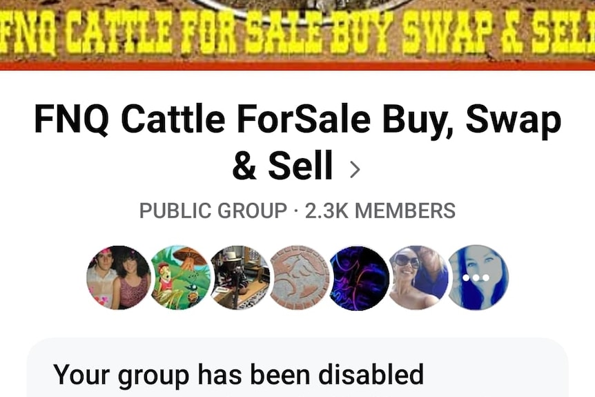 A screenshot of FNQ Cattle for Sale Buy Swap and Sell Facebook page with a message saying the group has been disabled.