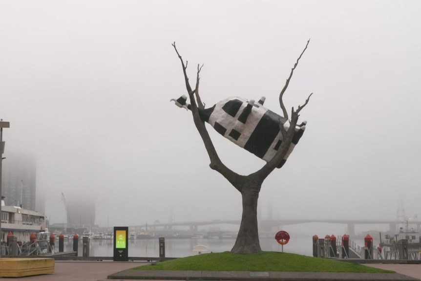 A sculpture of an upside down cow in a tree surrounded by fog.