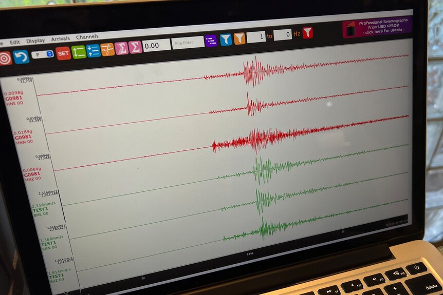 Three red and three green lines record the strength of the tremor on a computer screen