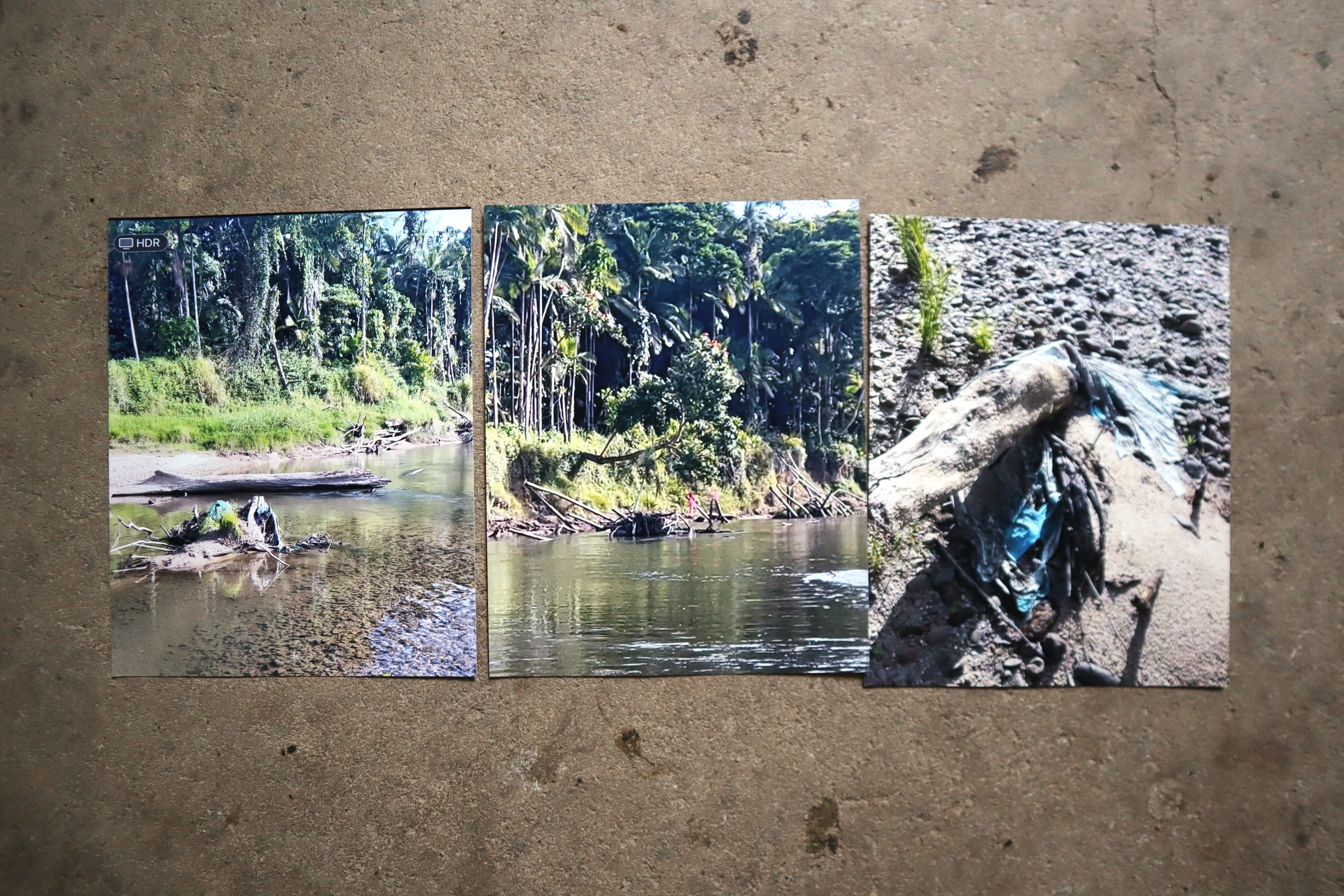 Three images showing plastic banana bag pollution in Liverpool Creek.