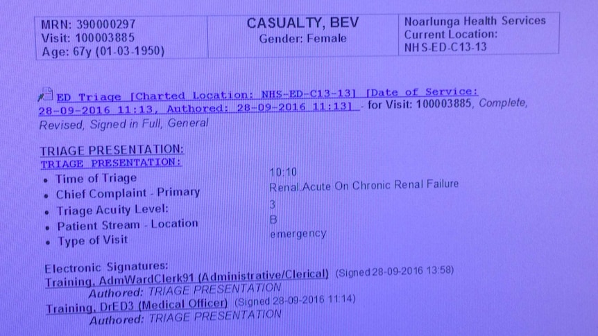 A mocked up electronic patient record on a computer screen.