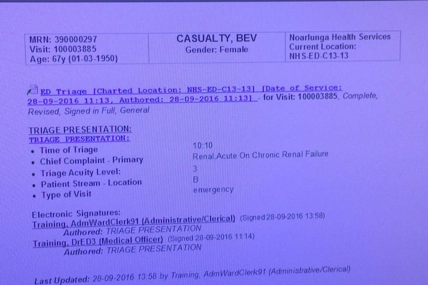 A mocked up electronic patient record on a computer screen.