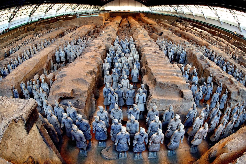 Fish-eye lens wide shot of the terracotta army in situ.