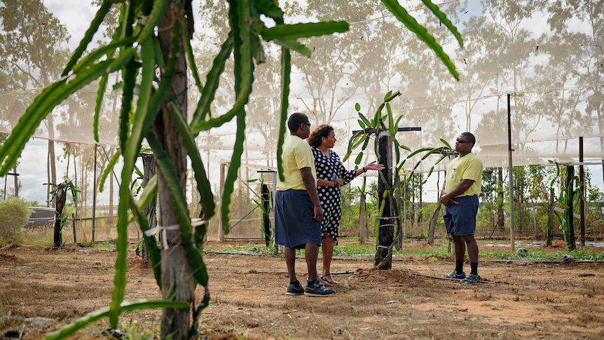 A dragonfruit plant is seen in the foreground, with Leanne Liddle and two inmates talking in the background.