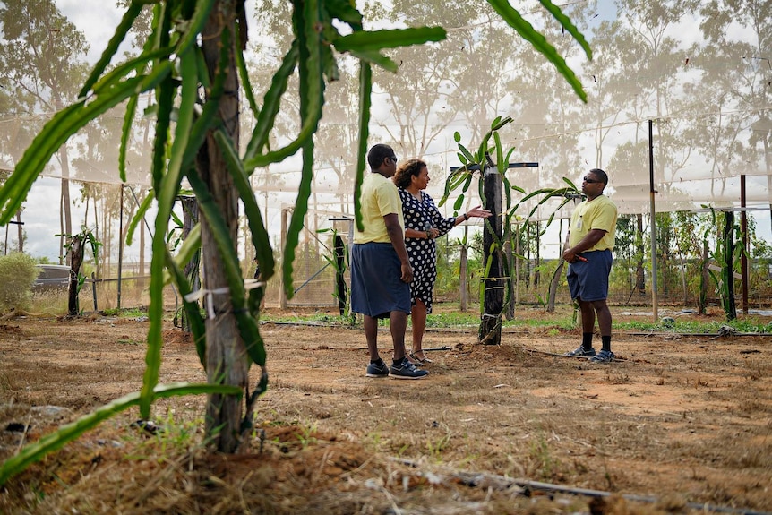 A dragonfruit plant is seen in the foreground, with Leanne Liddle and two inmates talking in the background.