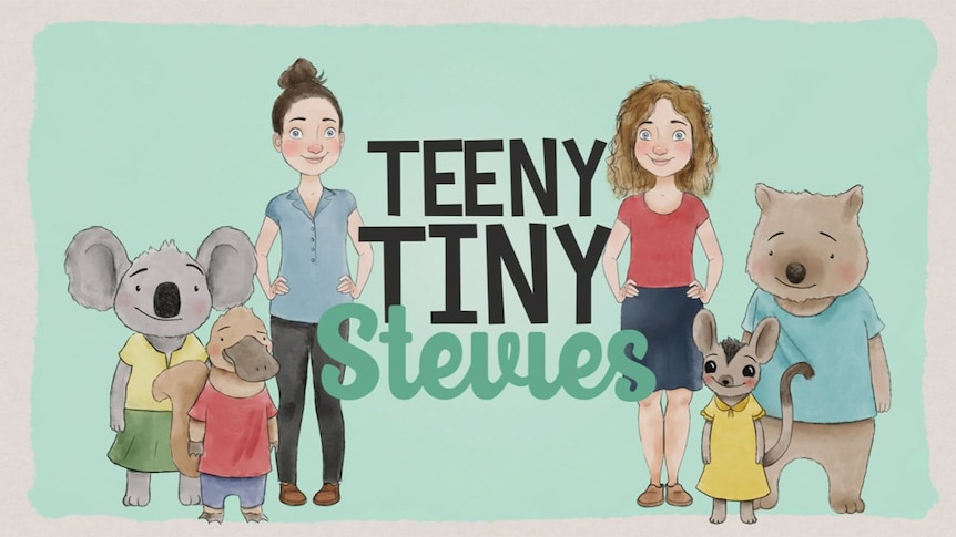 Teeny Tiny Stevies Program Image