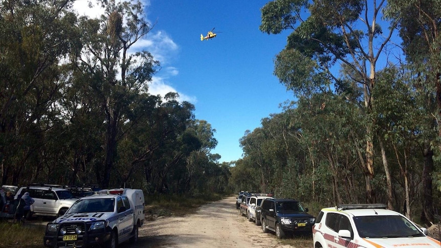 Search for missing bushwalker