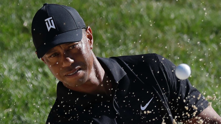 Tiger Woods looks at a golf ball as sand flies up around his face