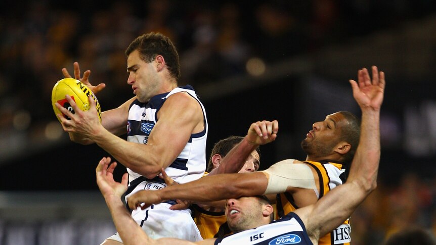 Flying cats ... Trent West flies high to mark against Hawthorn.