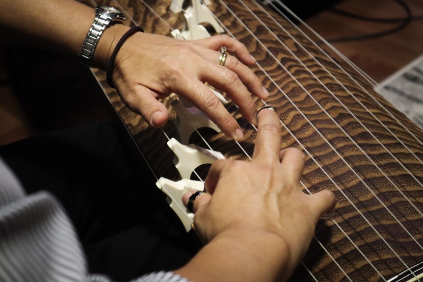 Overhead shot of someone playing the Koto.