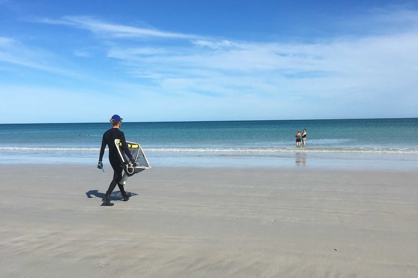 Lifeguard Elliott Jones carries a stinger drag net to the water at Broome's Cable Beach.