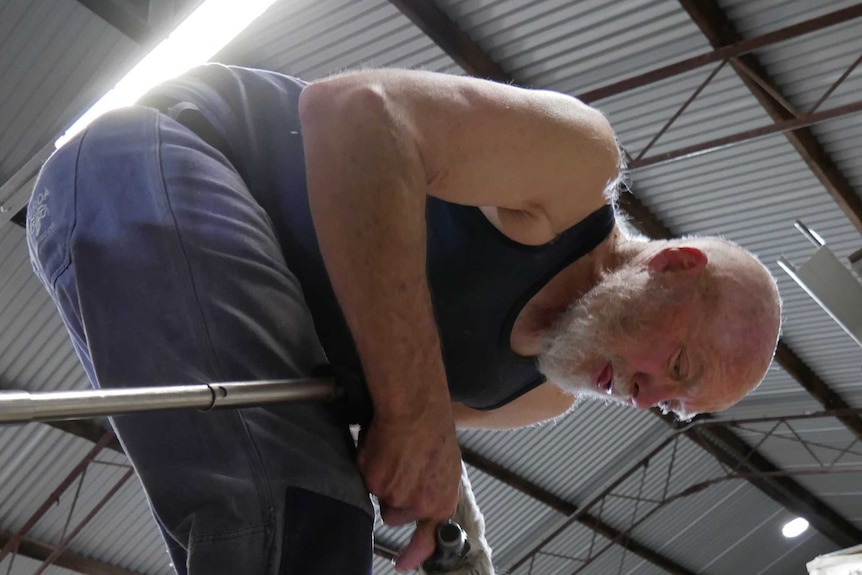 An older man in blue work gear working in a woolshed.