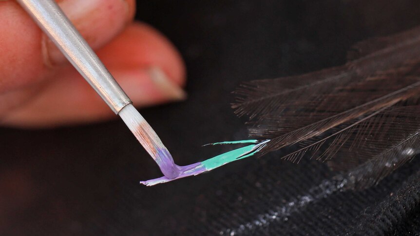 environmentalist painting one of the birds tails purple and blue.