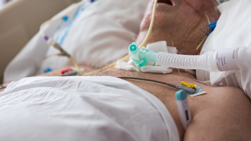 A COVID-19 patient with a tracheostomy lies while connected to a ventilator in a Spanish ICU.