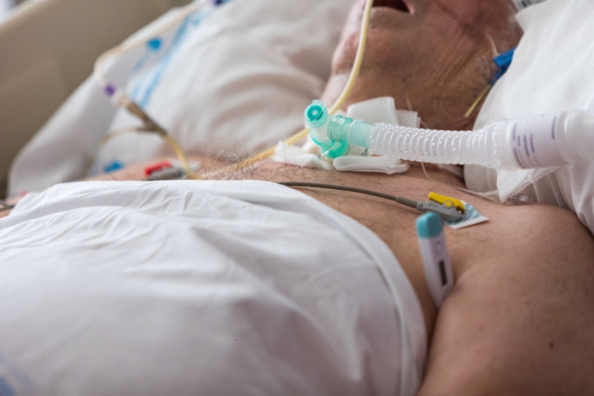 A COVID-19 patient with a tracheostomy lies while connected to a ventilator in a Spanish ICU.