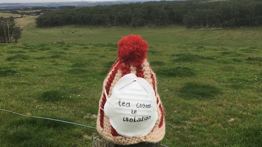 Tea cosy in a paddock of green grass.
