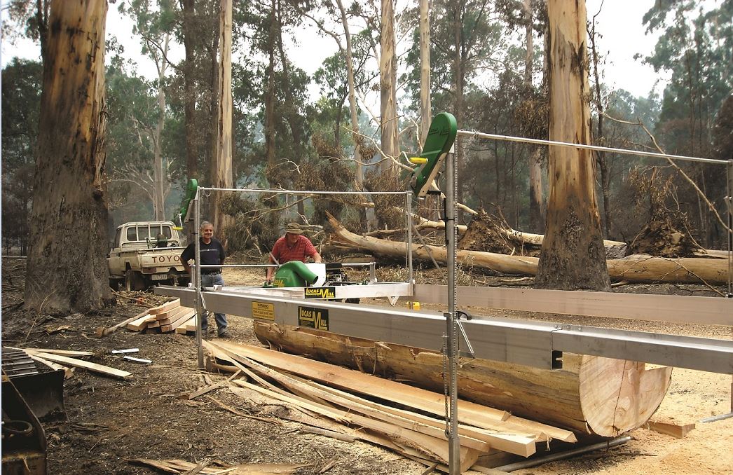 Lucas Mills Family's fight to stop Chinese copies of sawmill in