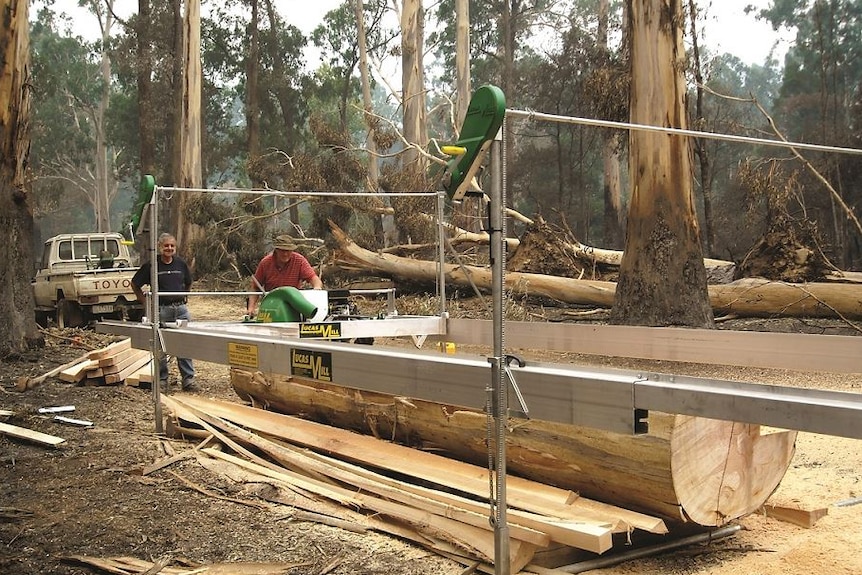 Milling fallen tress with the Lucas Mill