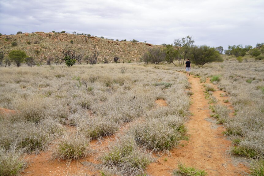 A man walks through scrubland and can barely be seen as he walks away.