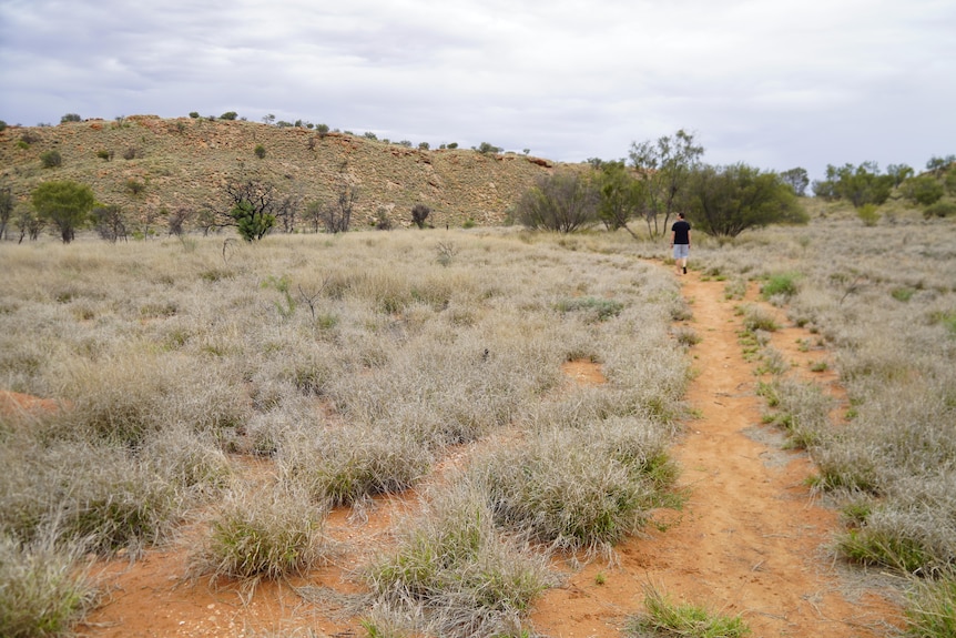 A man walks through scrubland and can barely be seen as he walks away.