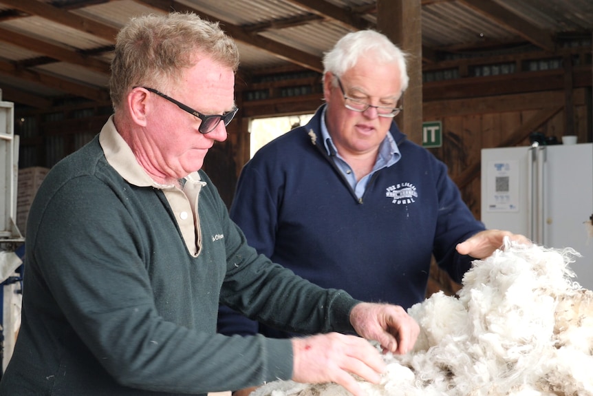 Two men looking at wool