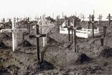 Graves at Fromelles, France following the infamous battle of July 1916.