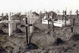 Graves at Fromelles, France following the infamous battle of July 1916.