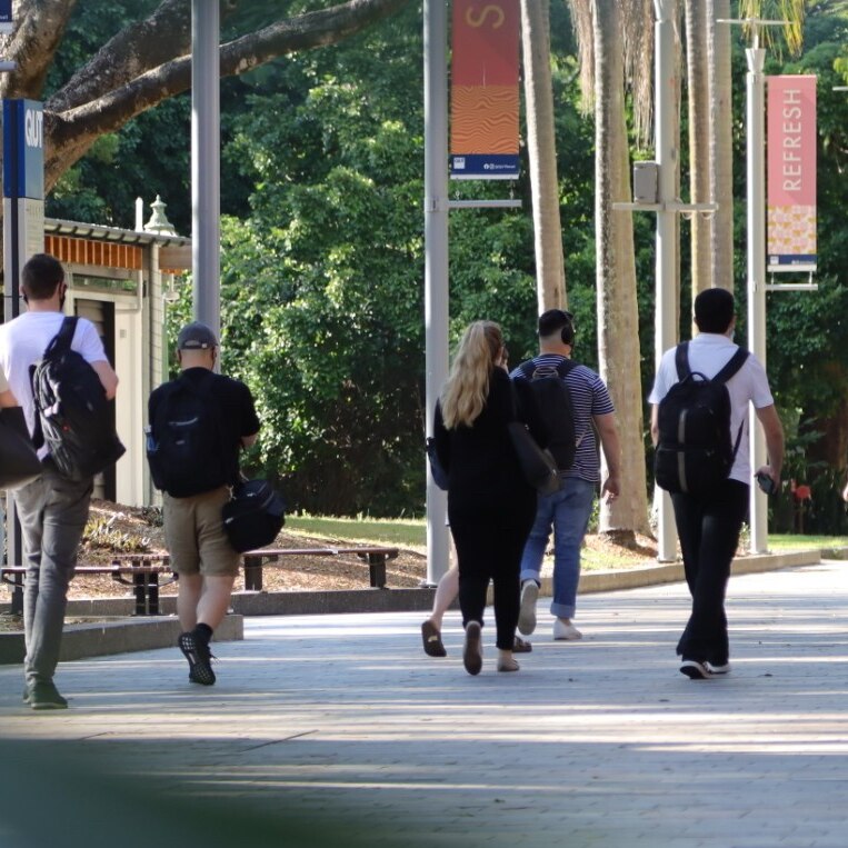 University students walk through campus