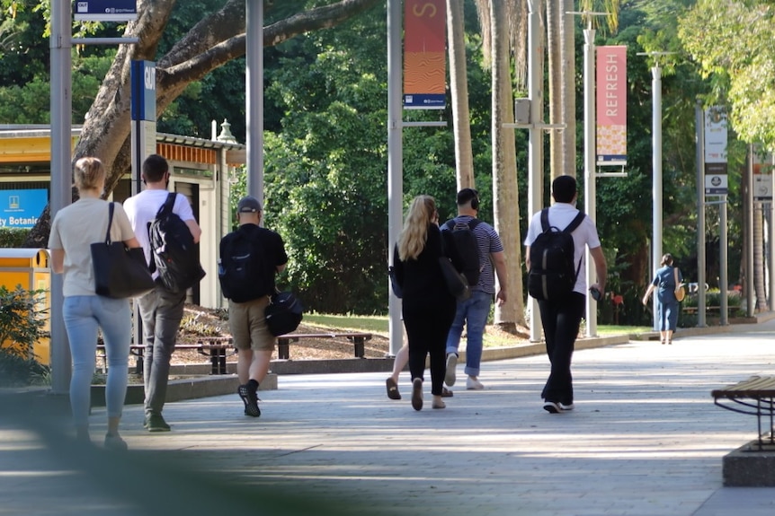 University students walk through campus