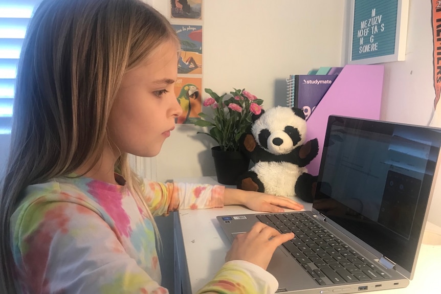 A young girl with fair hair looks at a laptop computer.