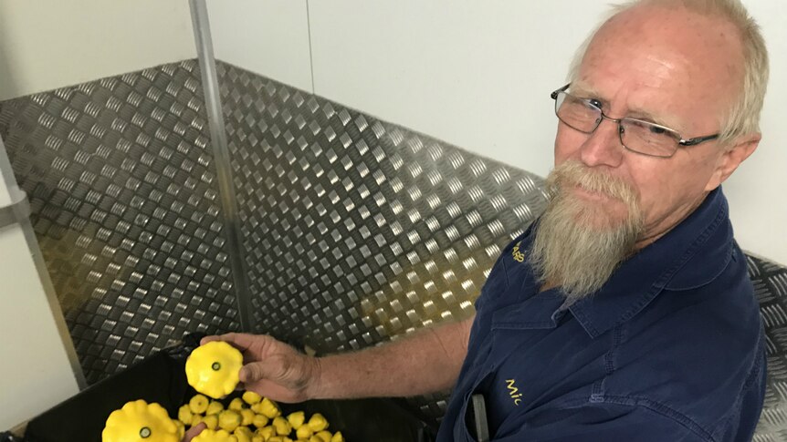 Mick Sims smiles at the camera holding some of the button squash destined for Foodbank Queensland.