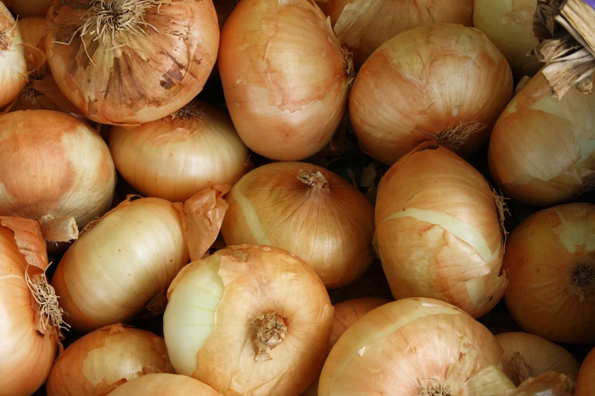 A whole pile of brown onions, some withe their skins flaking off.