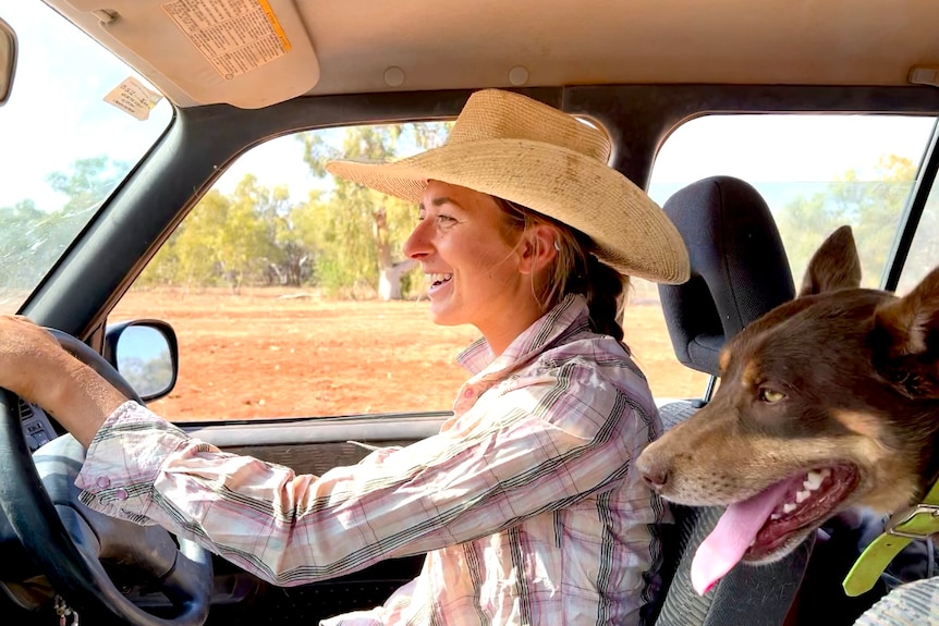 A woman in a big hat drives a car, a dog is in the back seat.