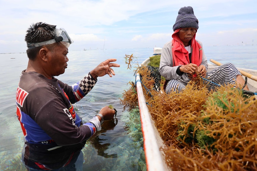 Wayan's parents in the Ceningan Strait.