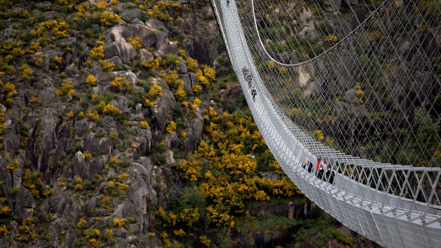 People walking along a suspension bridge high above a valley.