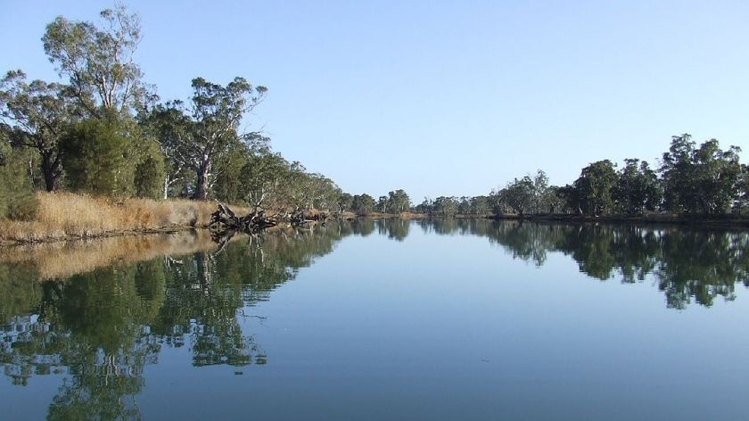 River Murray morning in South Australia