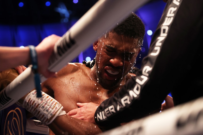 Anthony Joshua looks down with water being poured over him in the corner