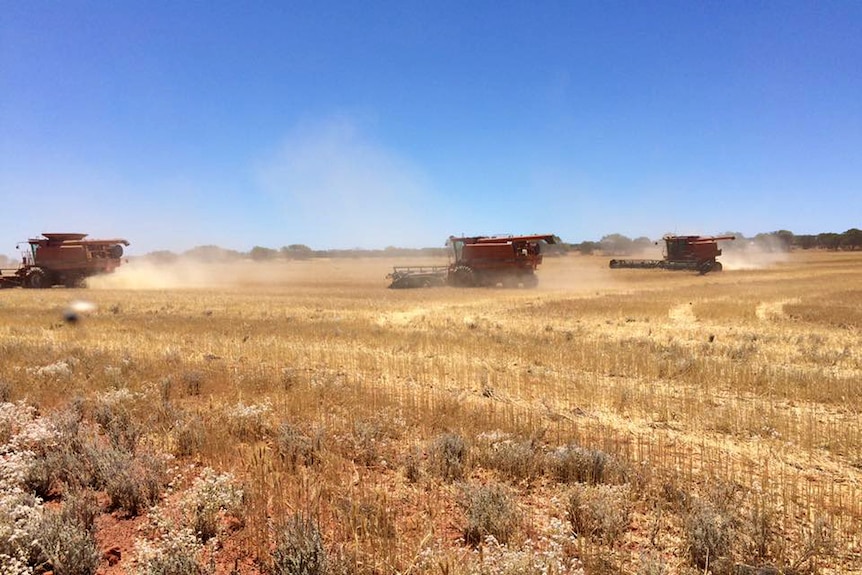 Three headers driving across a paddock