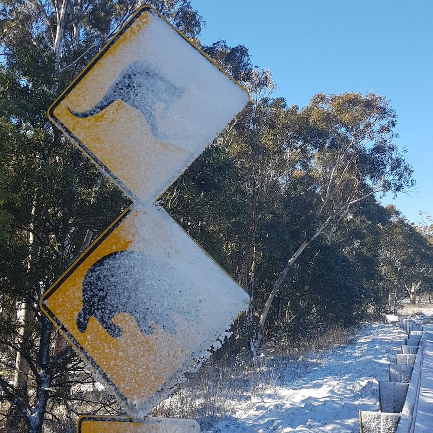 Frosted signs in NSW