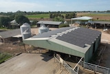 Solar panels on a farm shed