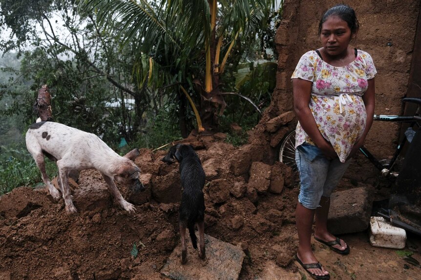 A women sits on broken bricks with two dogs.