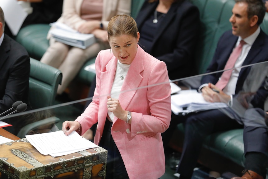 Collins gestures with one hand while speaking at the despatch box in the House of Representatives.