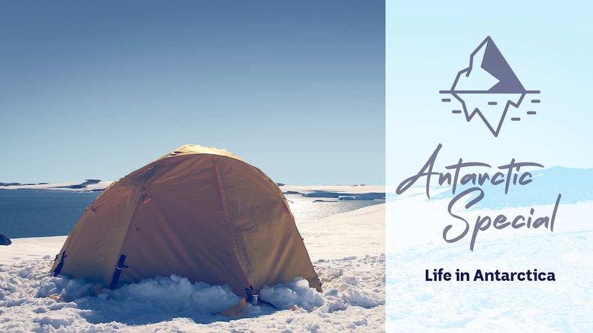 A tent on remote snowy landscape with a graphic overlaid saying 'Antarctica Special: Life in Antarctica'
