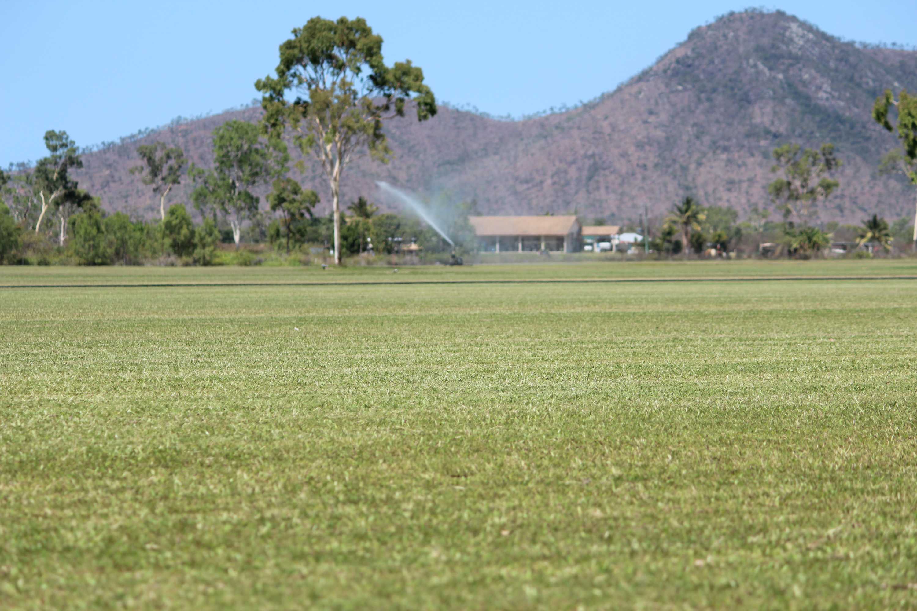 Lingering dry costs North Queensland turf farmers big bucks in ...