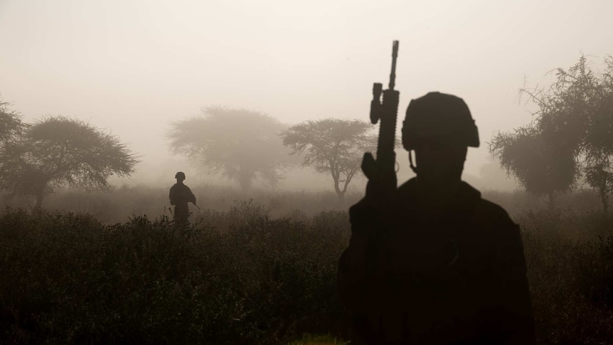 The silhouette if two soldiers holding guns and standing among trees and shrubs.