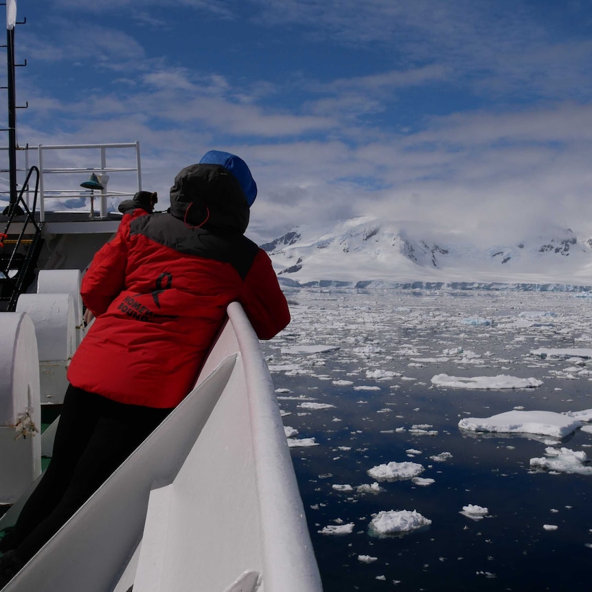 Person wearing red jacket faces away from camera, leaning over the side of the boat near floating ice in Antarctica.