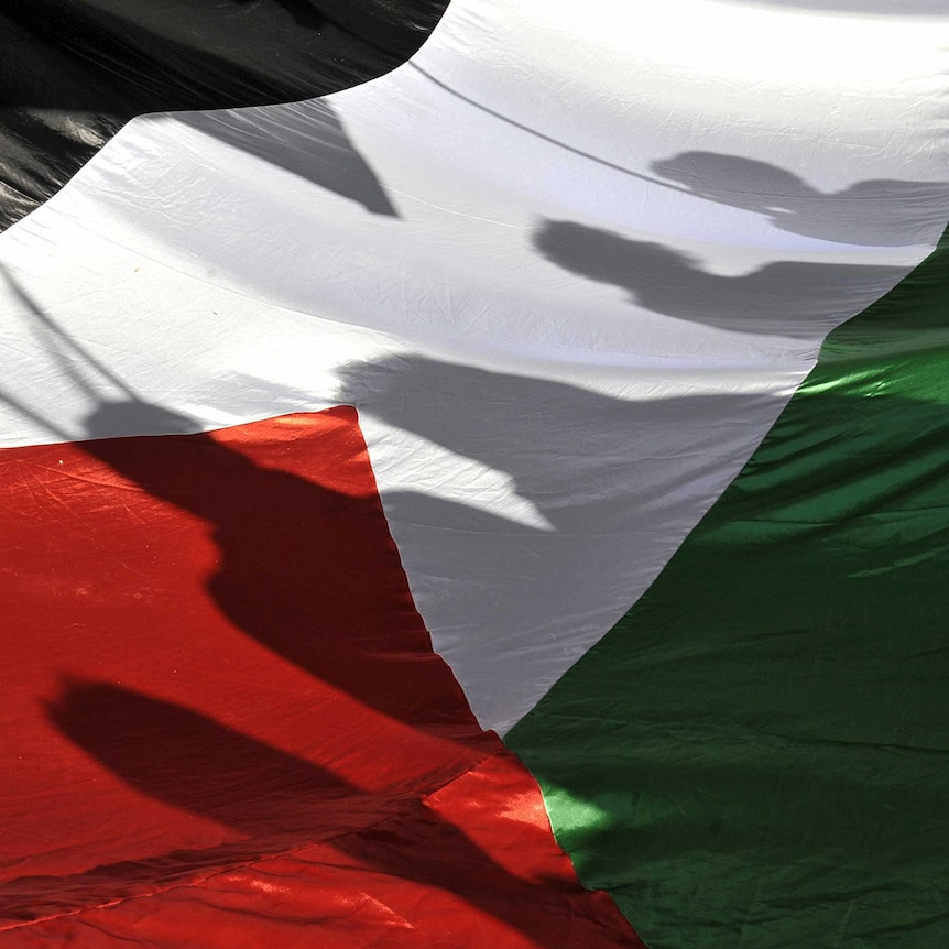 Palestine flag generic