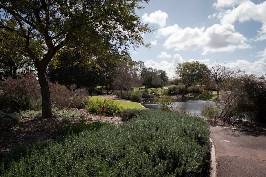 The park and lakes at Woodlake village